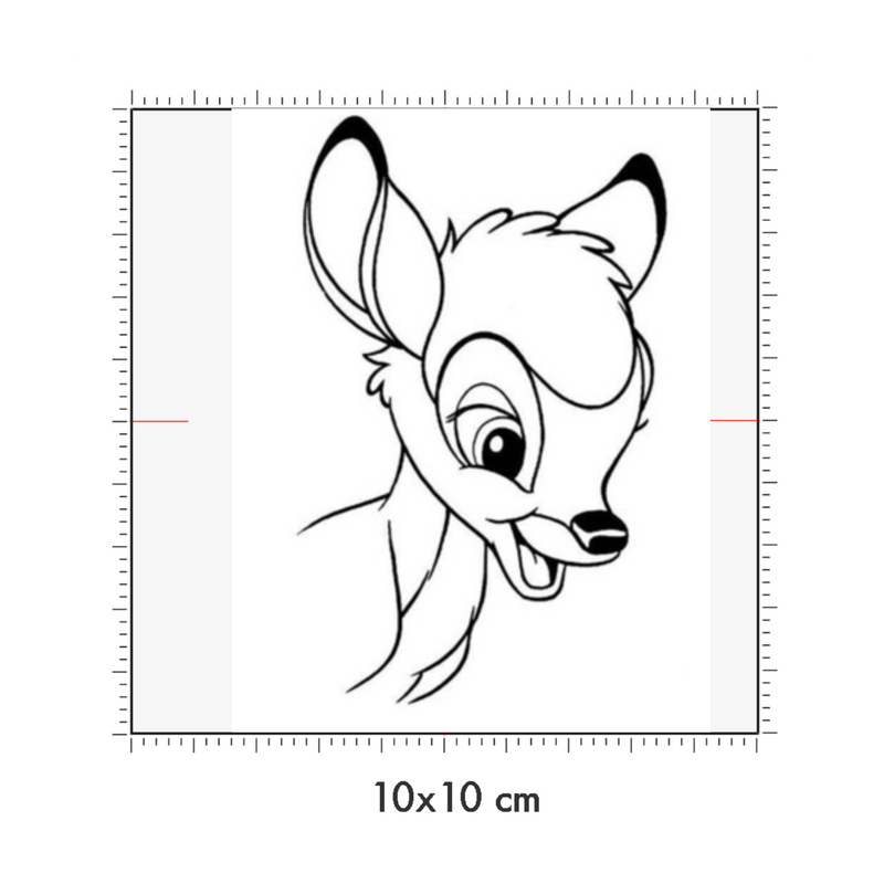 10 x 10 cm