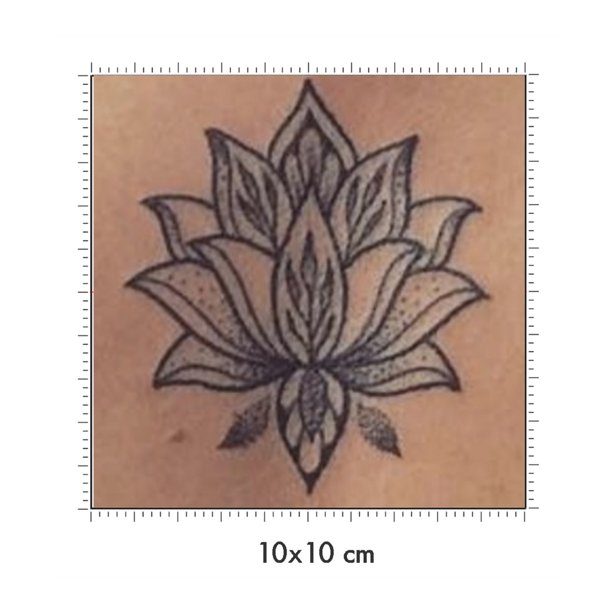 10 x 10 cm