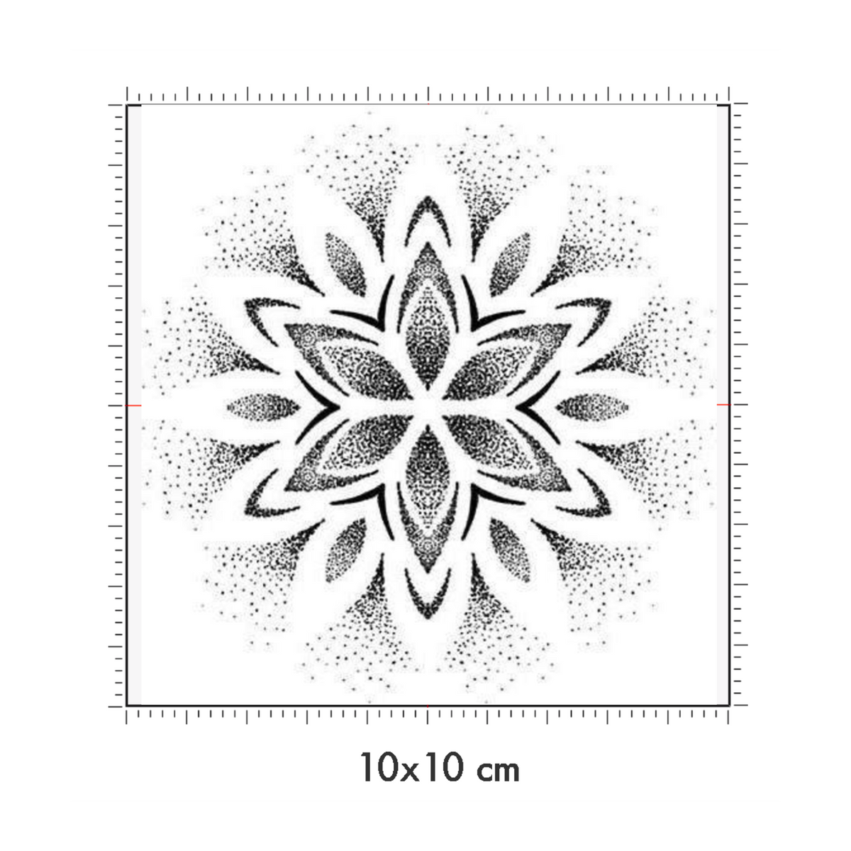 10 x 10 cm