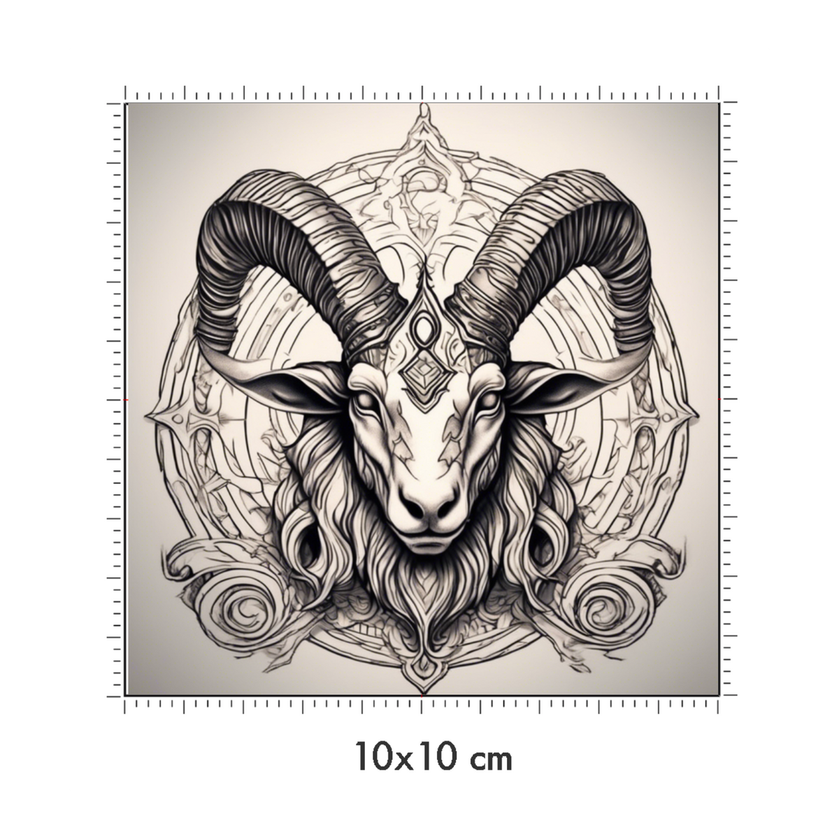 10 x 10 cm