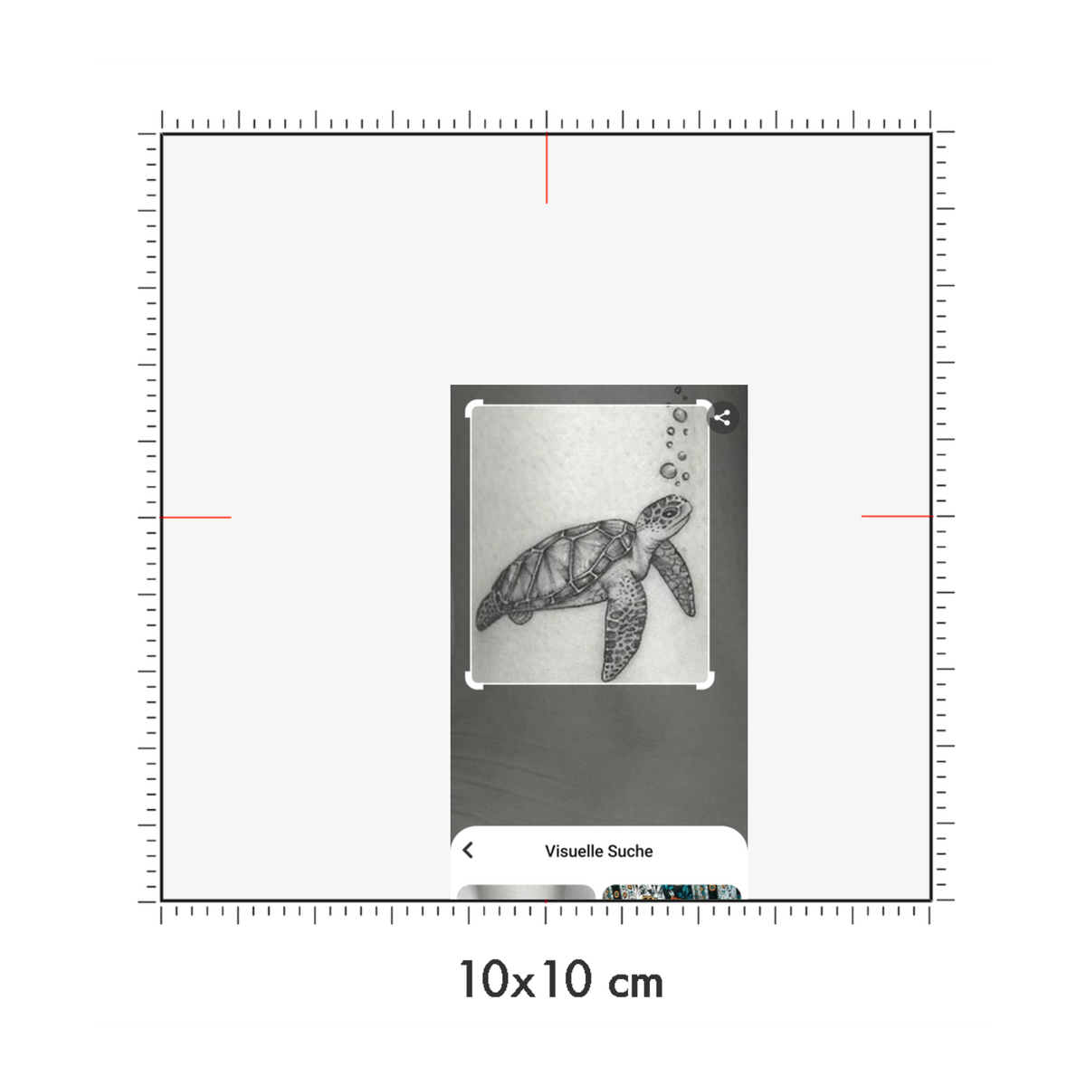 10 x 10 cm