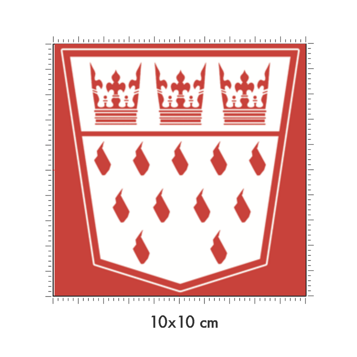 10 x 10 cm