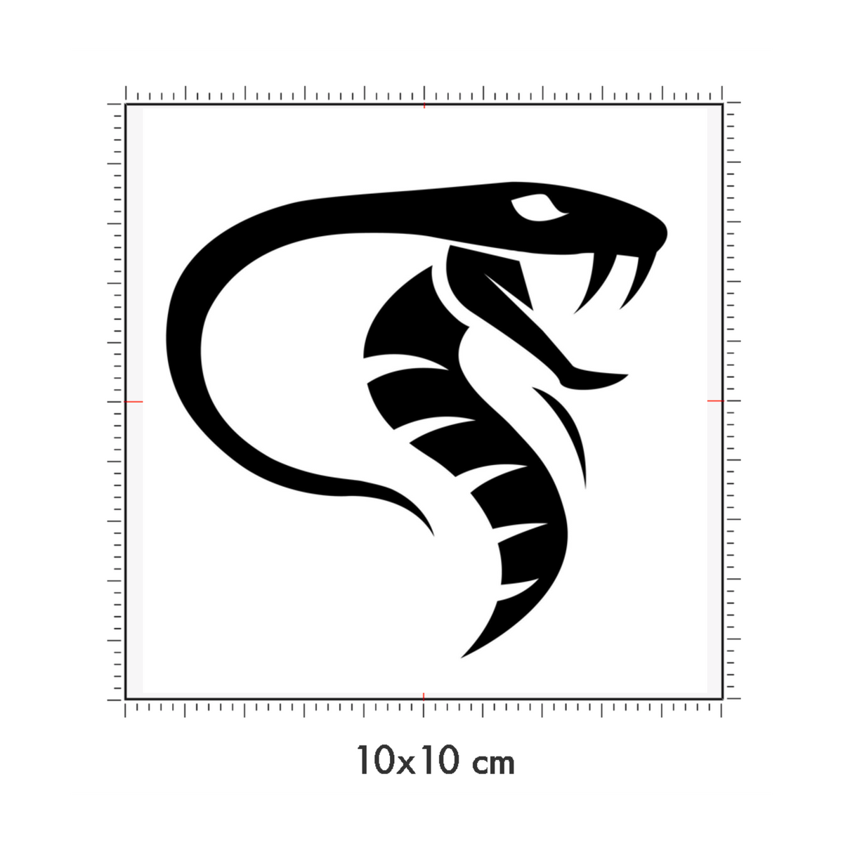 10 x 10 cm
