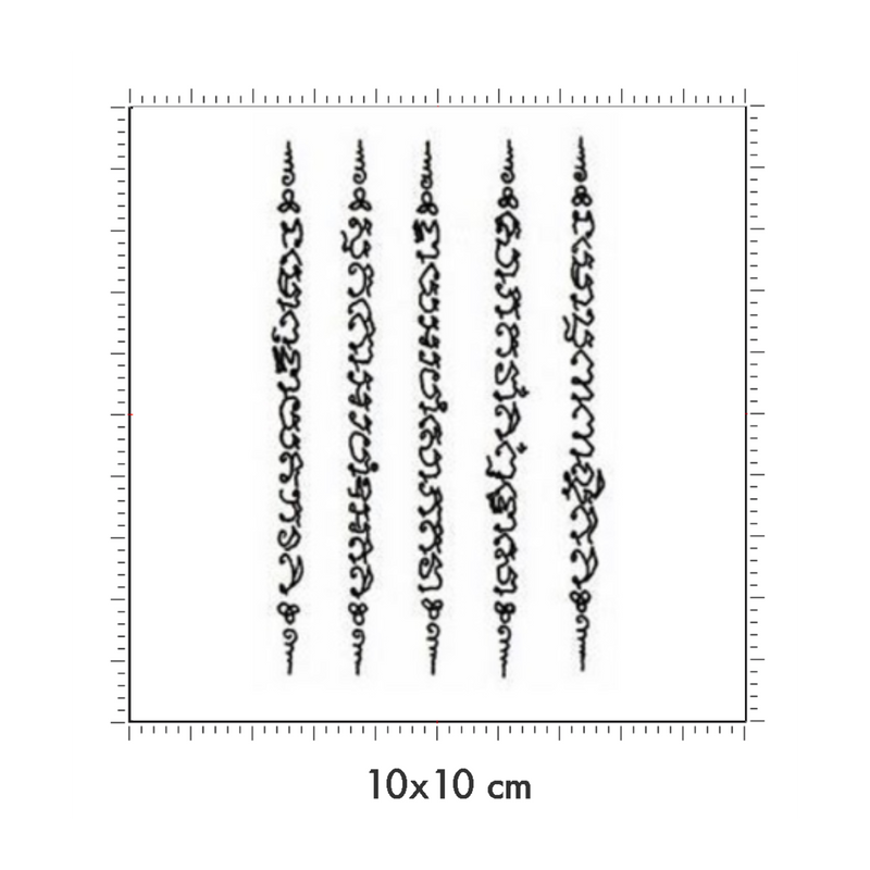 10 x 10 cm