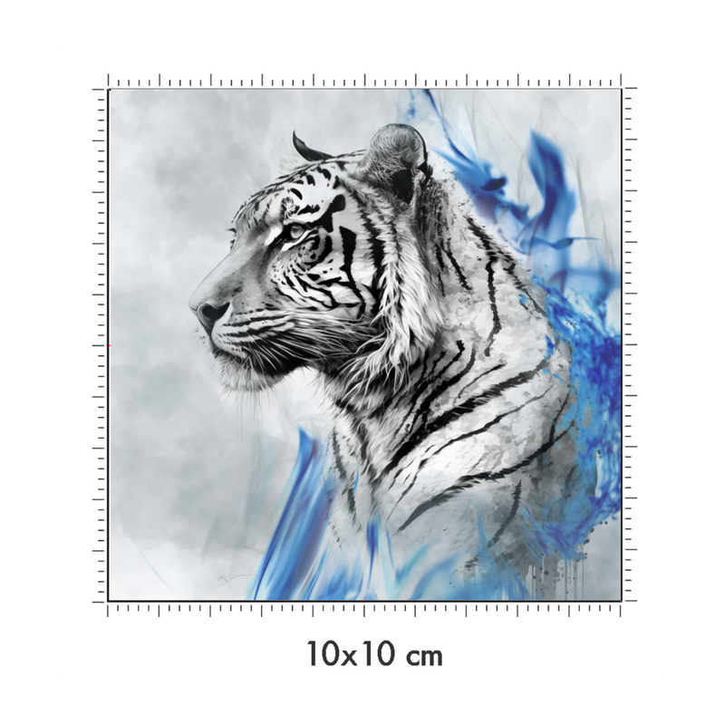 10 x 10 cm