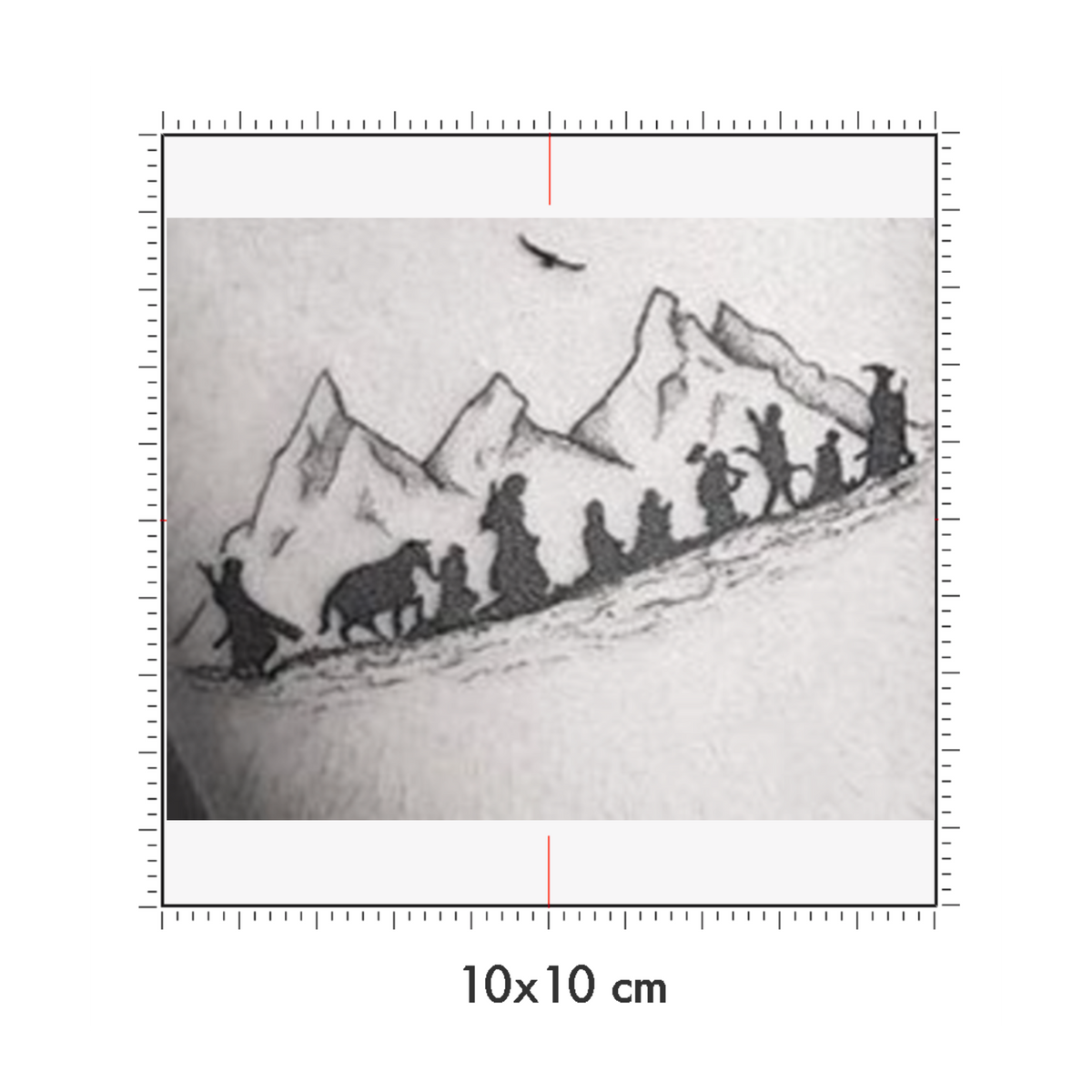 10 x 10 cm