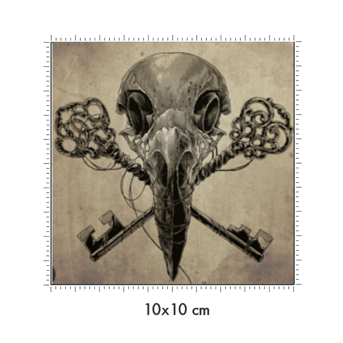 10 x 10 cm