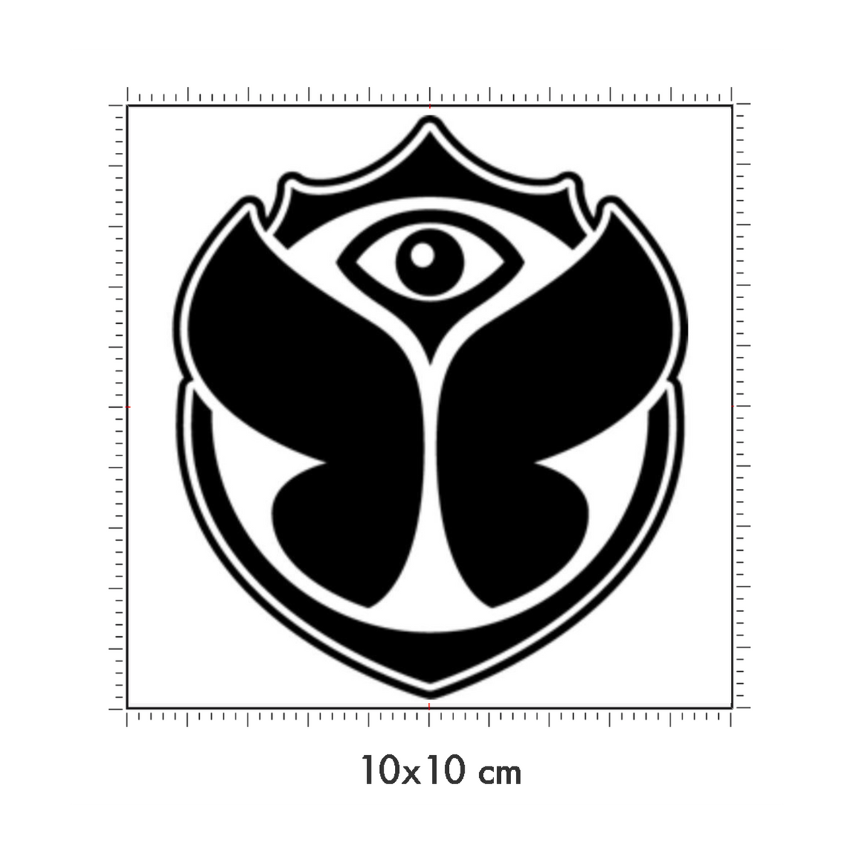 10 x 10 cm