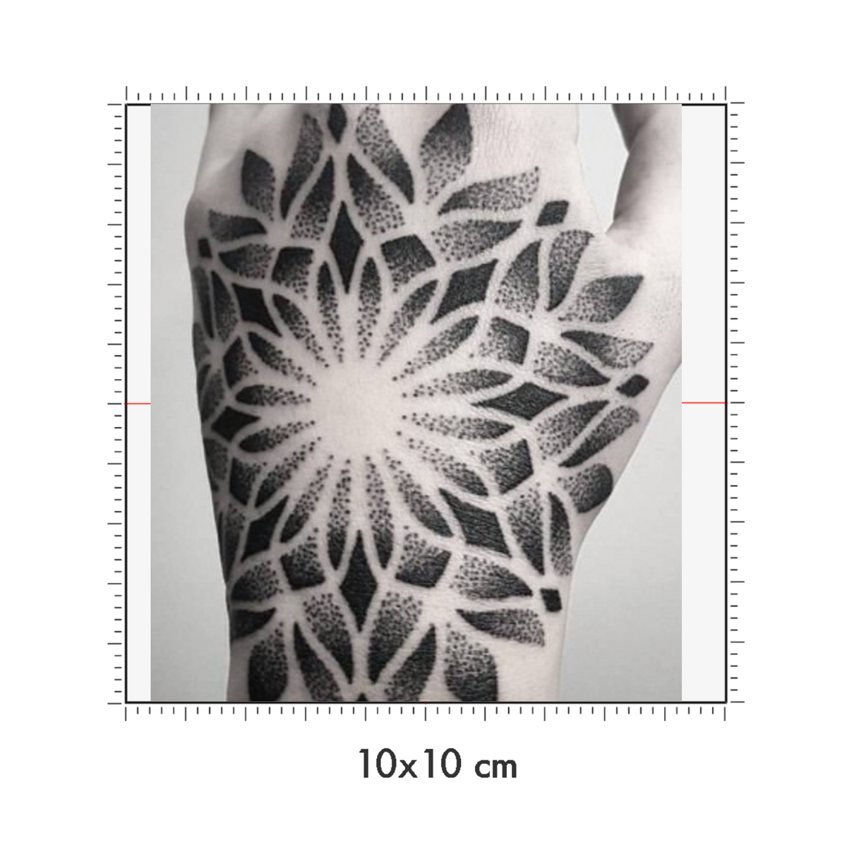 10 x 10 cm