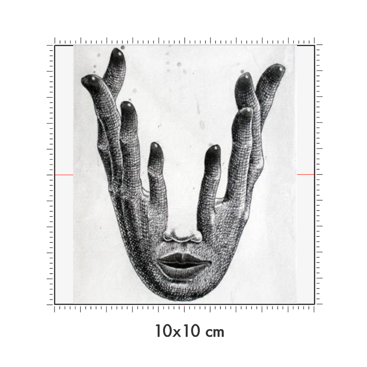 10 x 10 cm