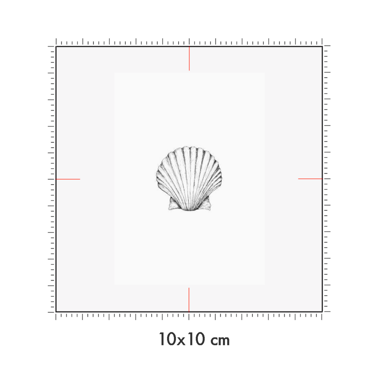 10 x 10 cm