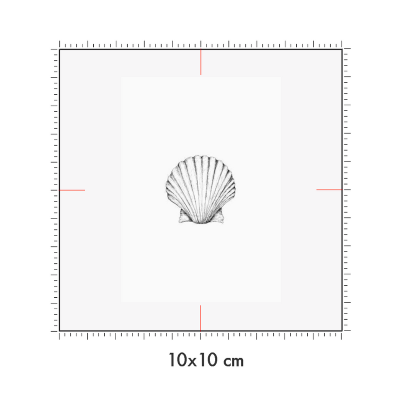 10 x 10 cm