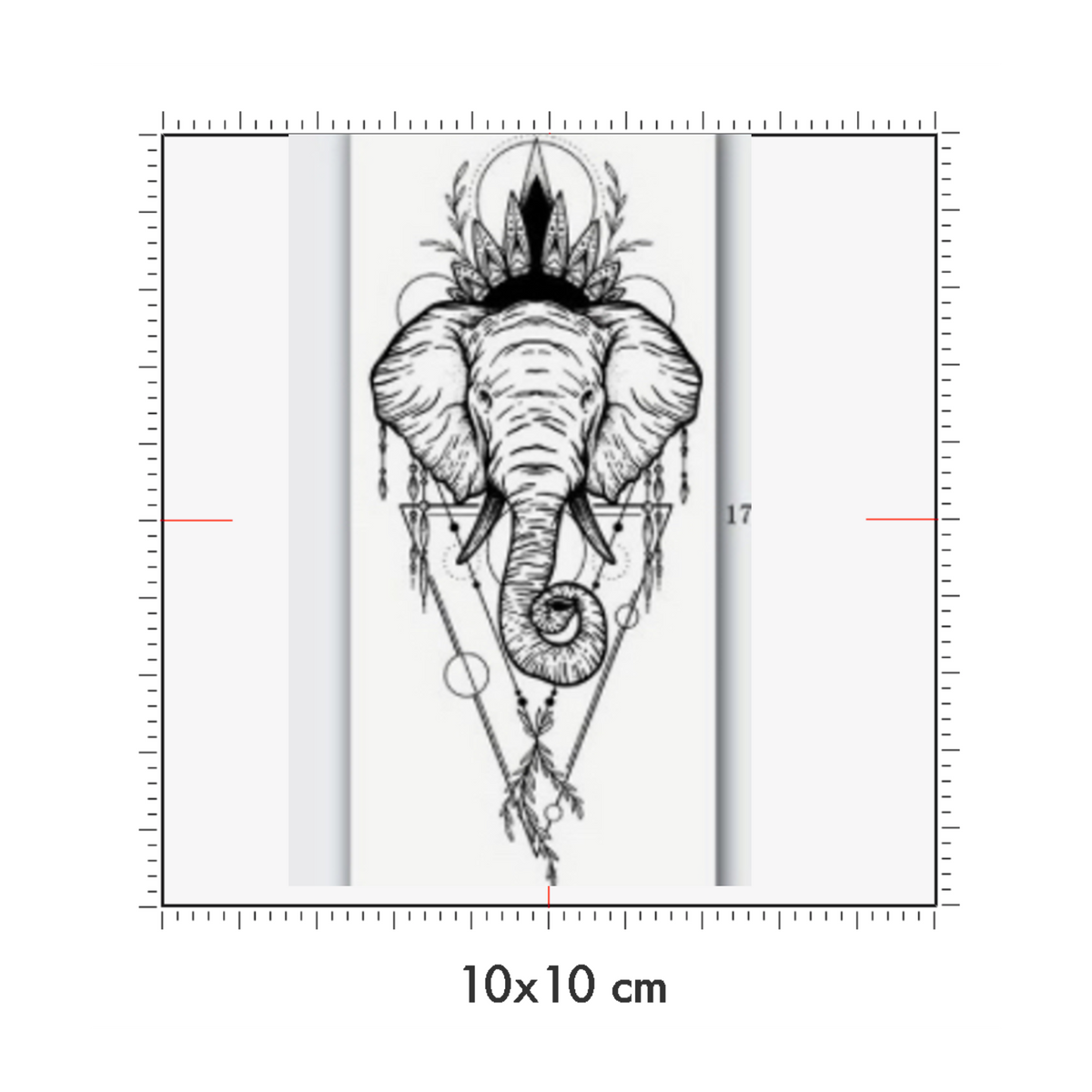 10 x 10 cm