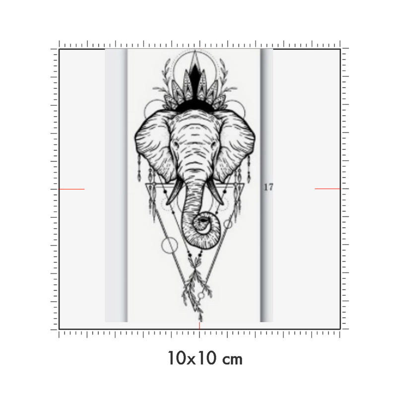 10 x 10 cm
