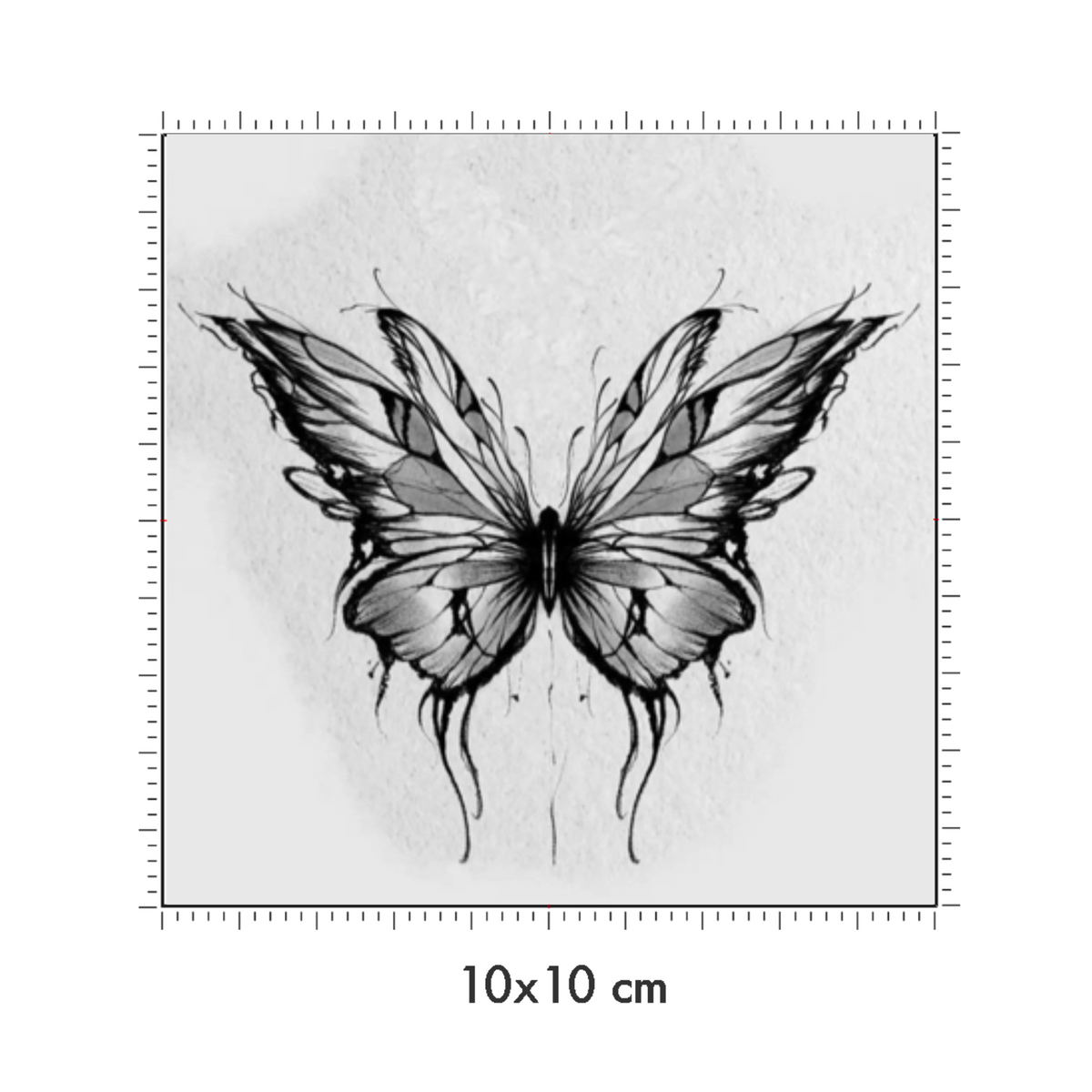 10 x 10 cm