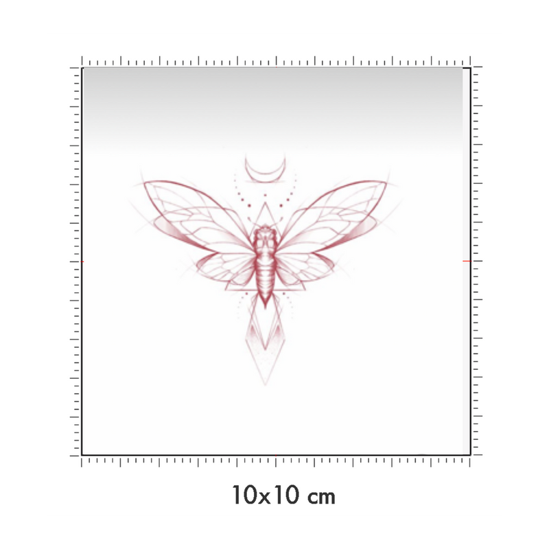 10 x 10 cm