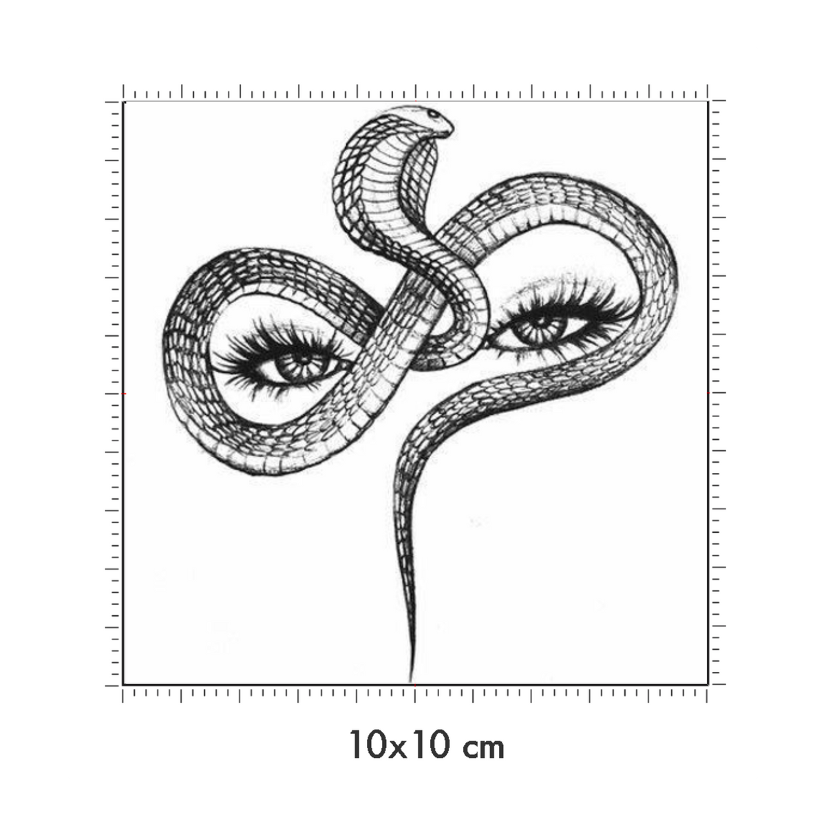 10 x 10 cm
