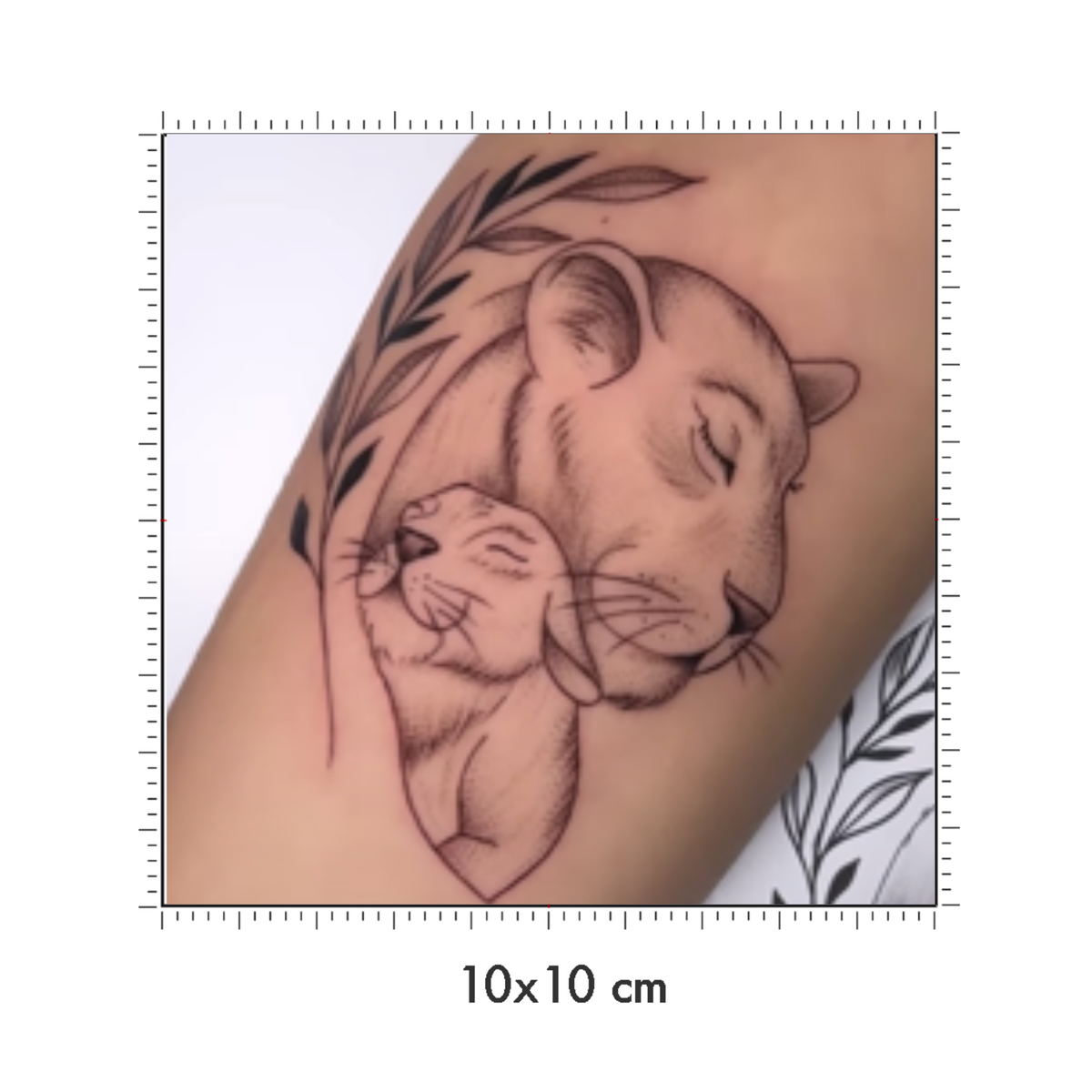 10 x 10 cm