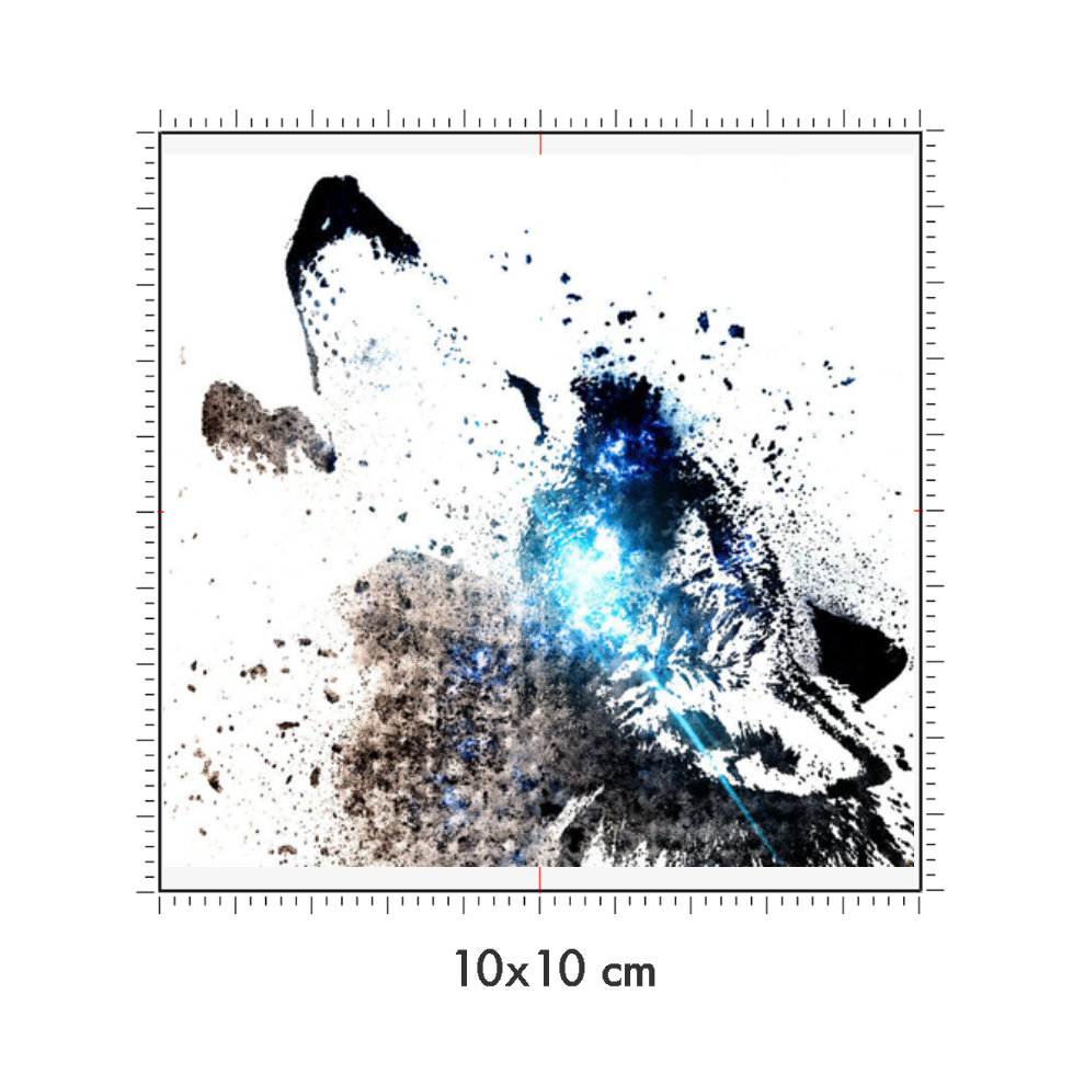 10 x 10 cm