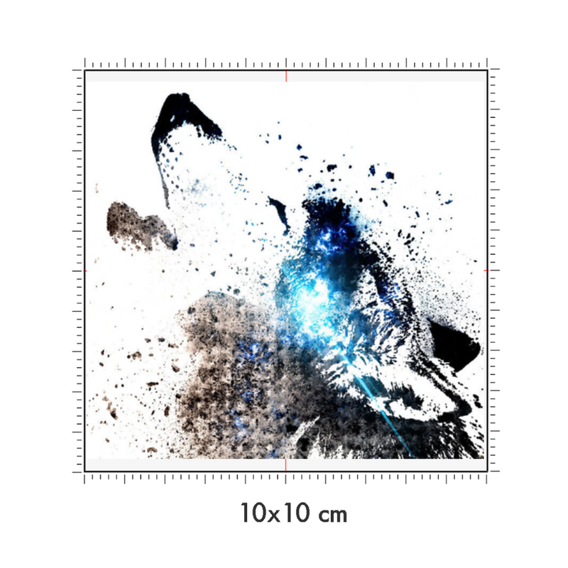 10 x 10 cm