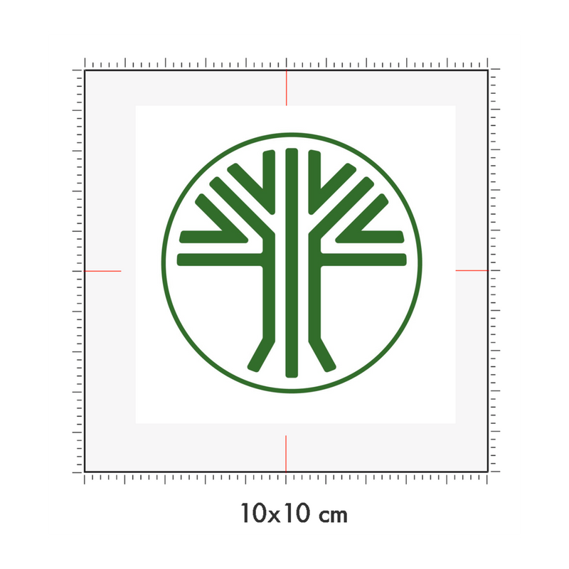 10 x 10 cm