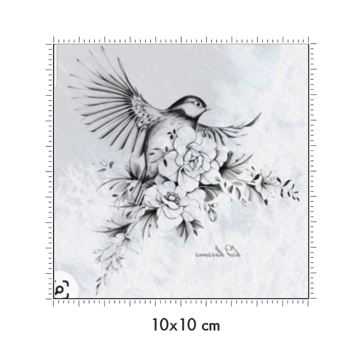 10 x 10 cm