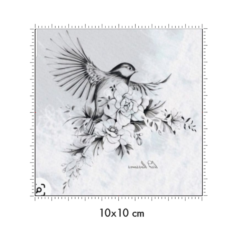 10 x 10 cm