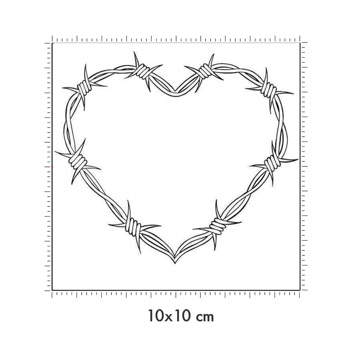 10 x 10 cm