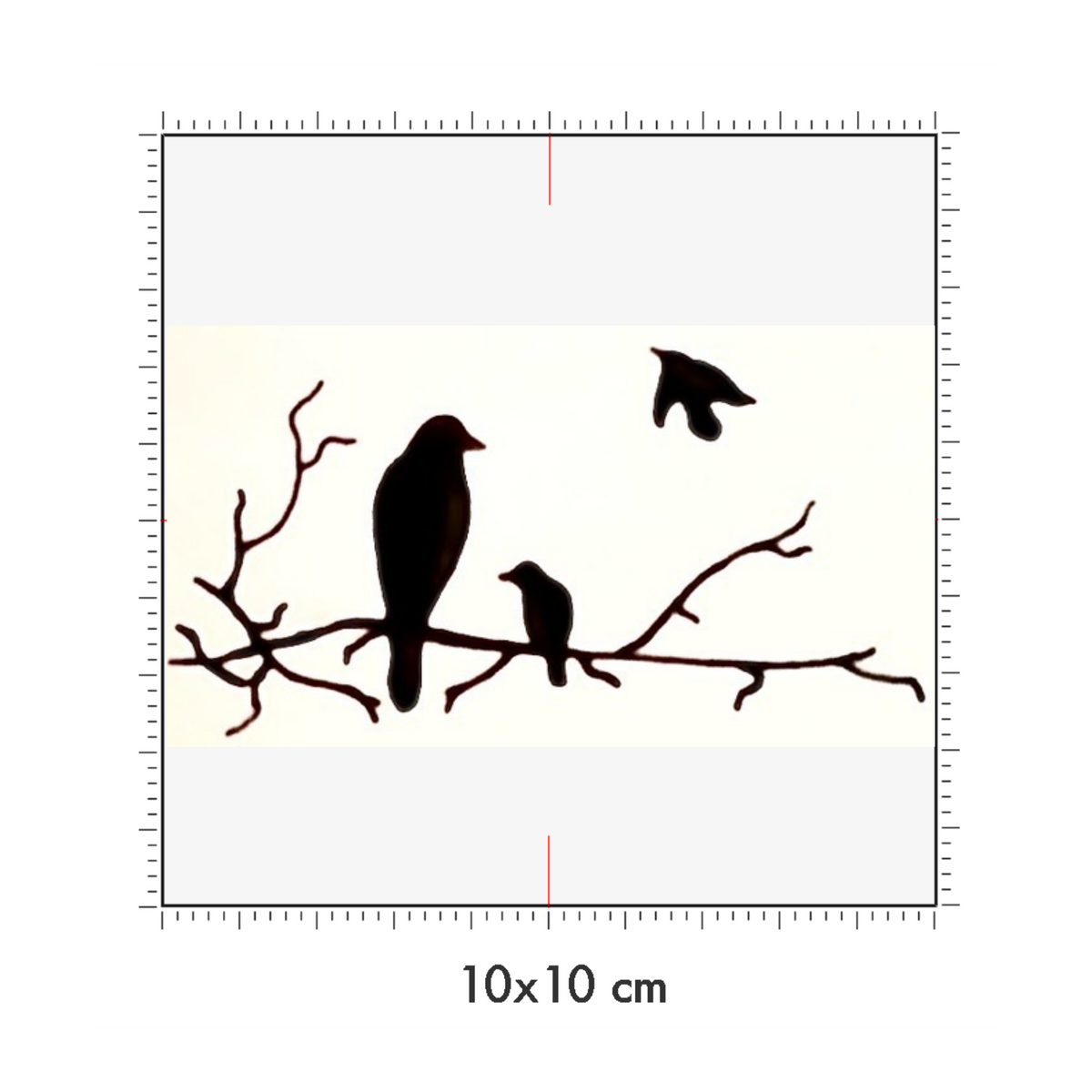 10 x 10 cm