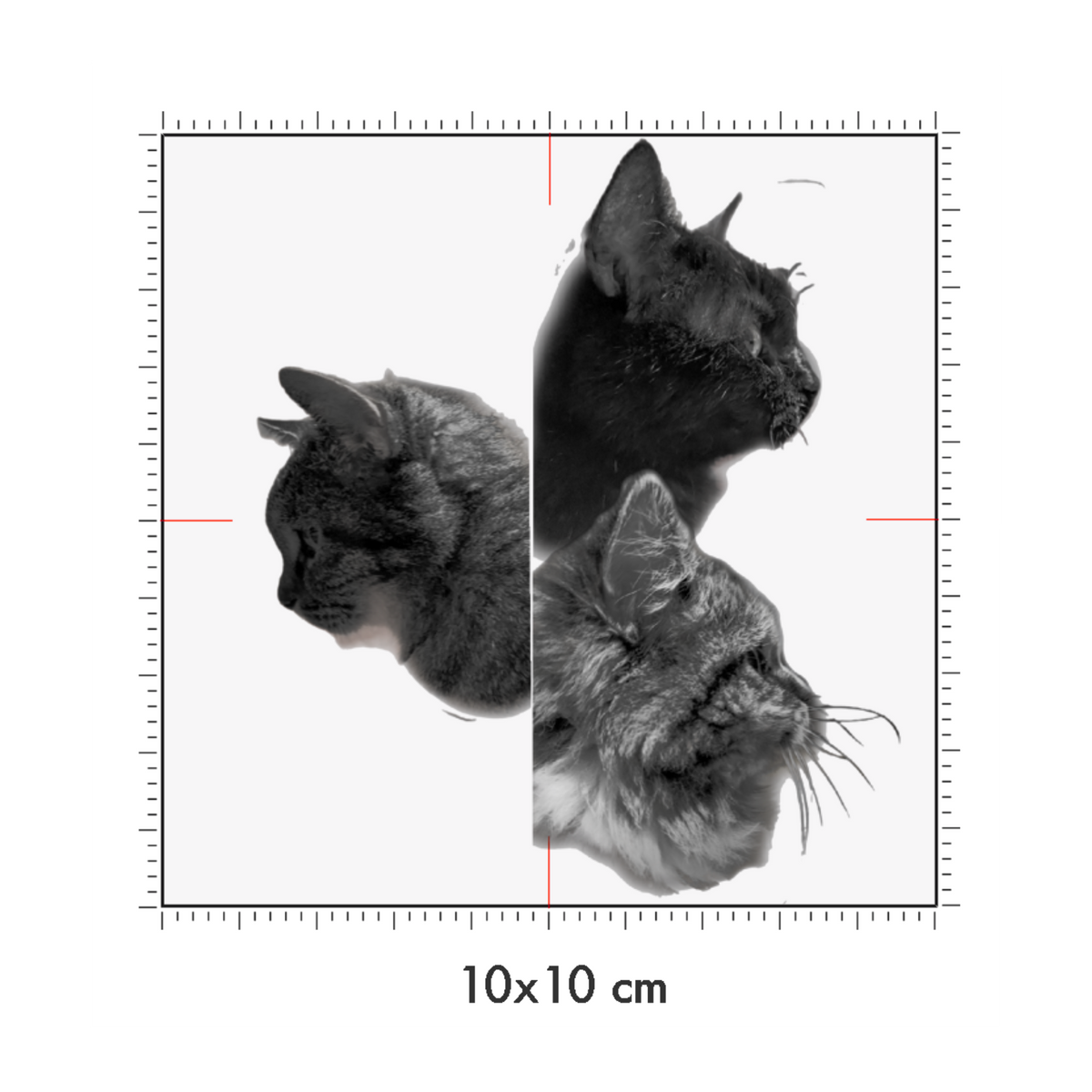 10 x 10 cm
