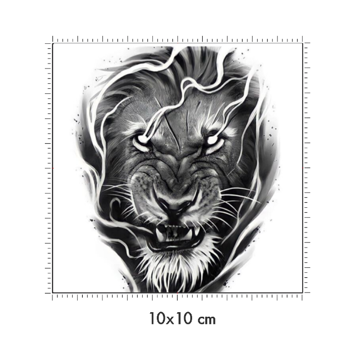 10 x 10 cm