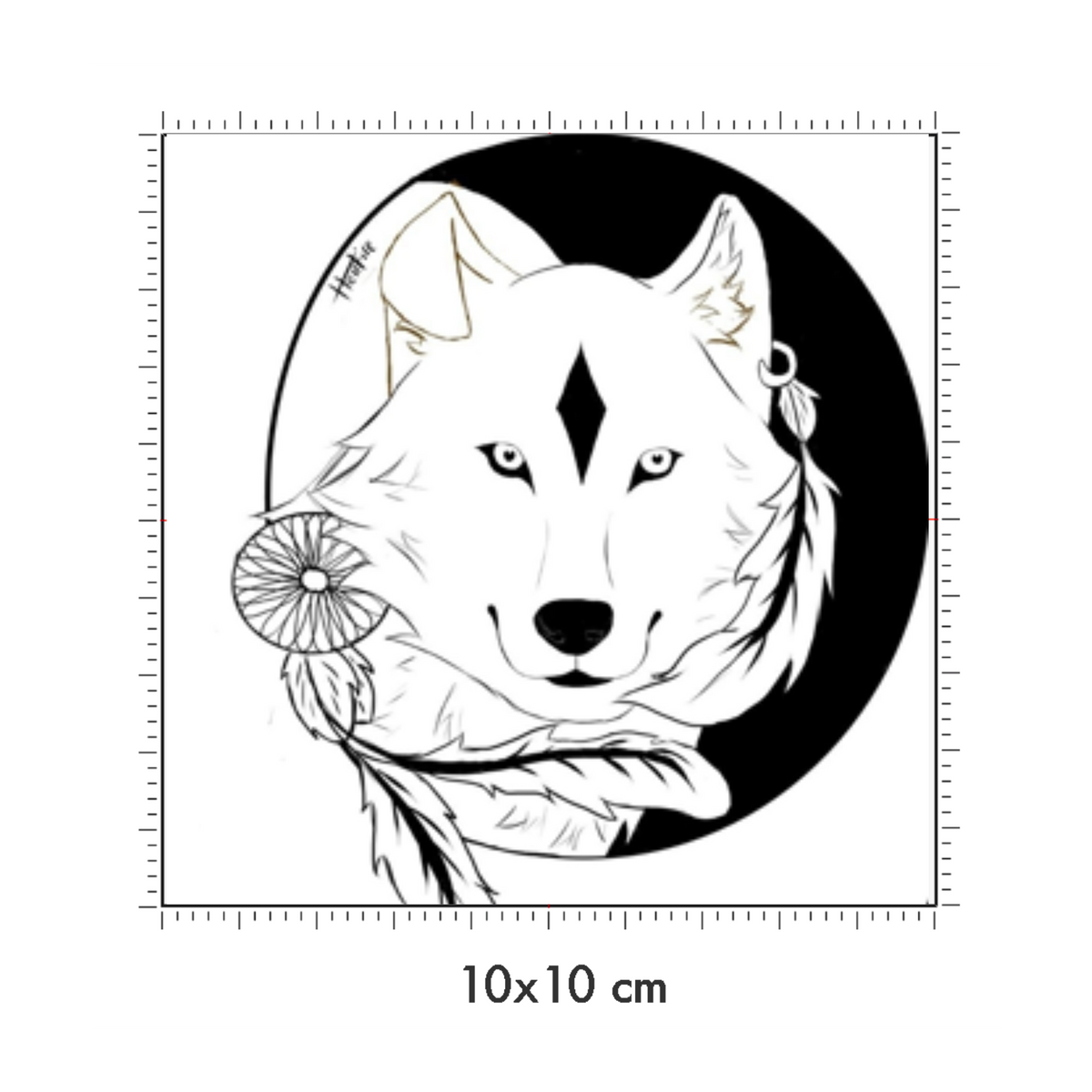 10 x 10 cm