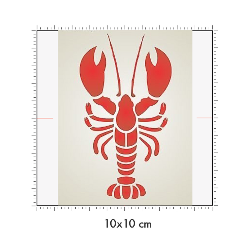 10 x 10 cm