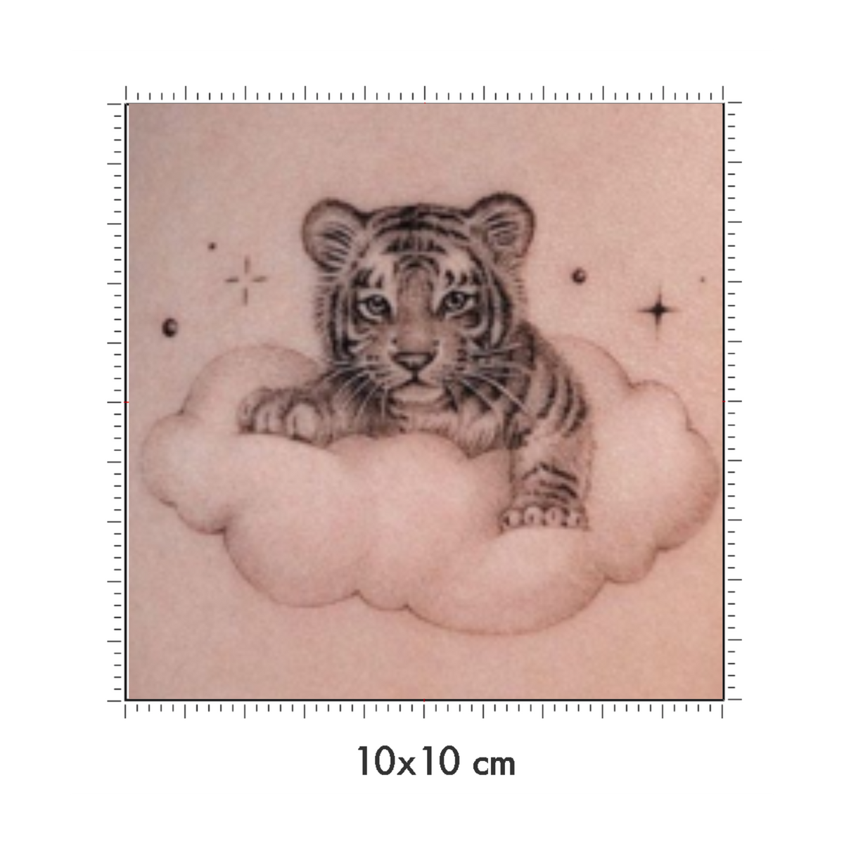 10 x 10 cm