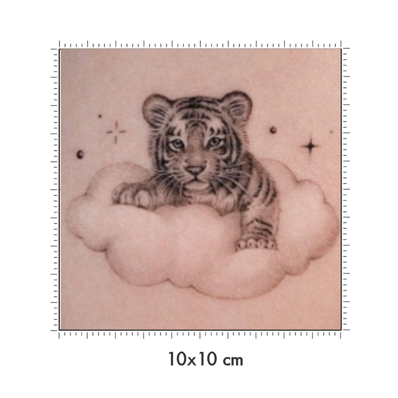 10 x 10 cm