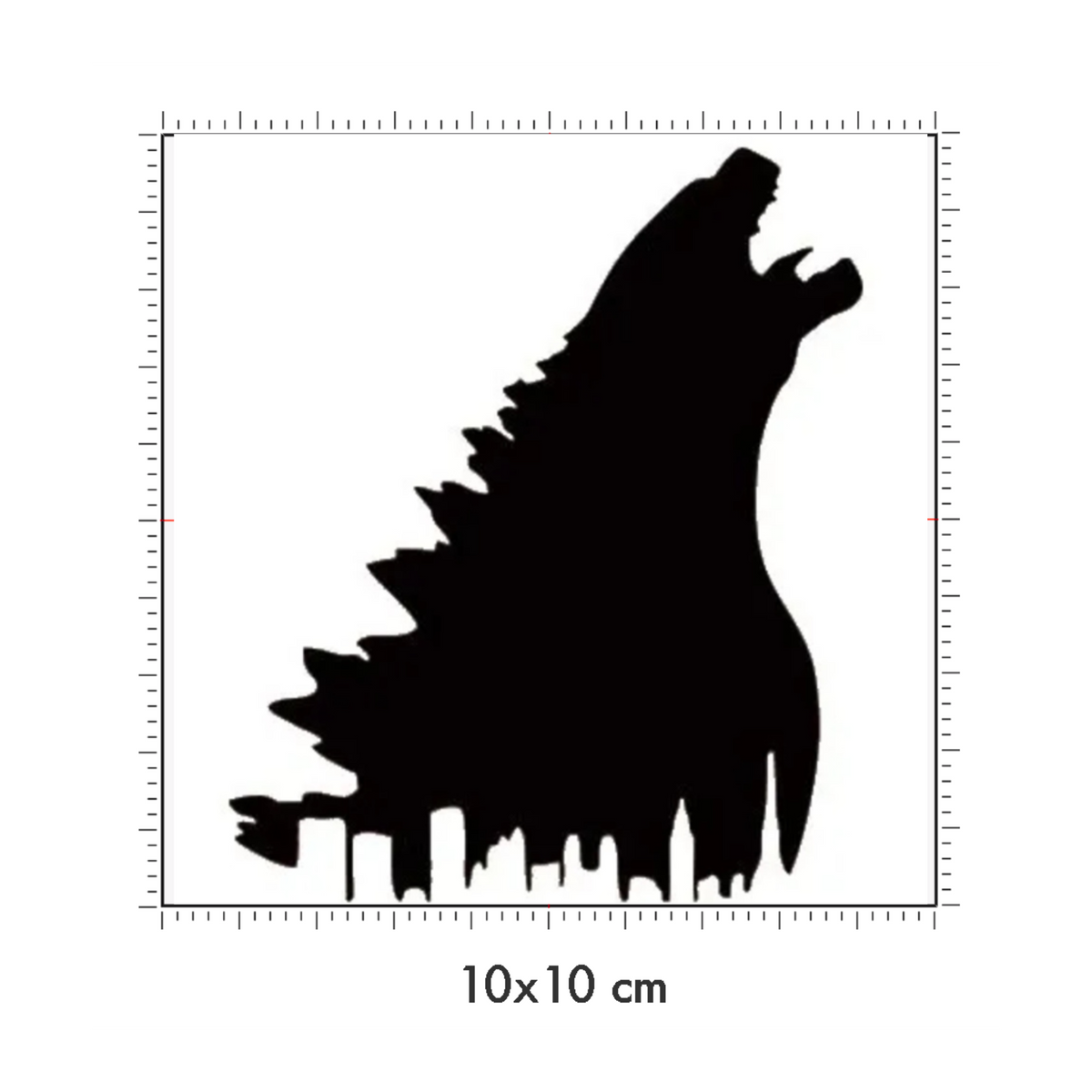 10 x 10 cm