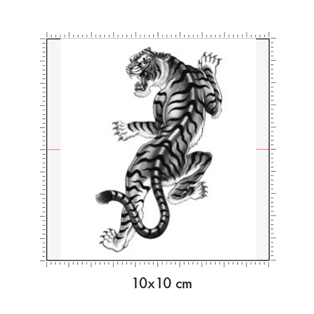 10 x 10 cm