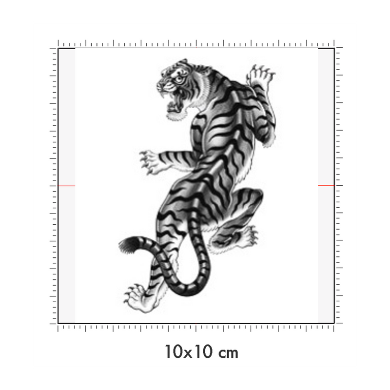 10 x 10 cm