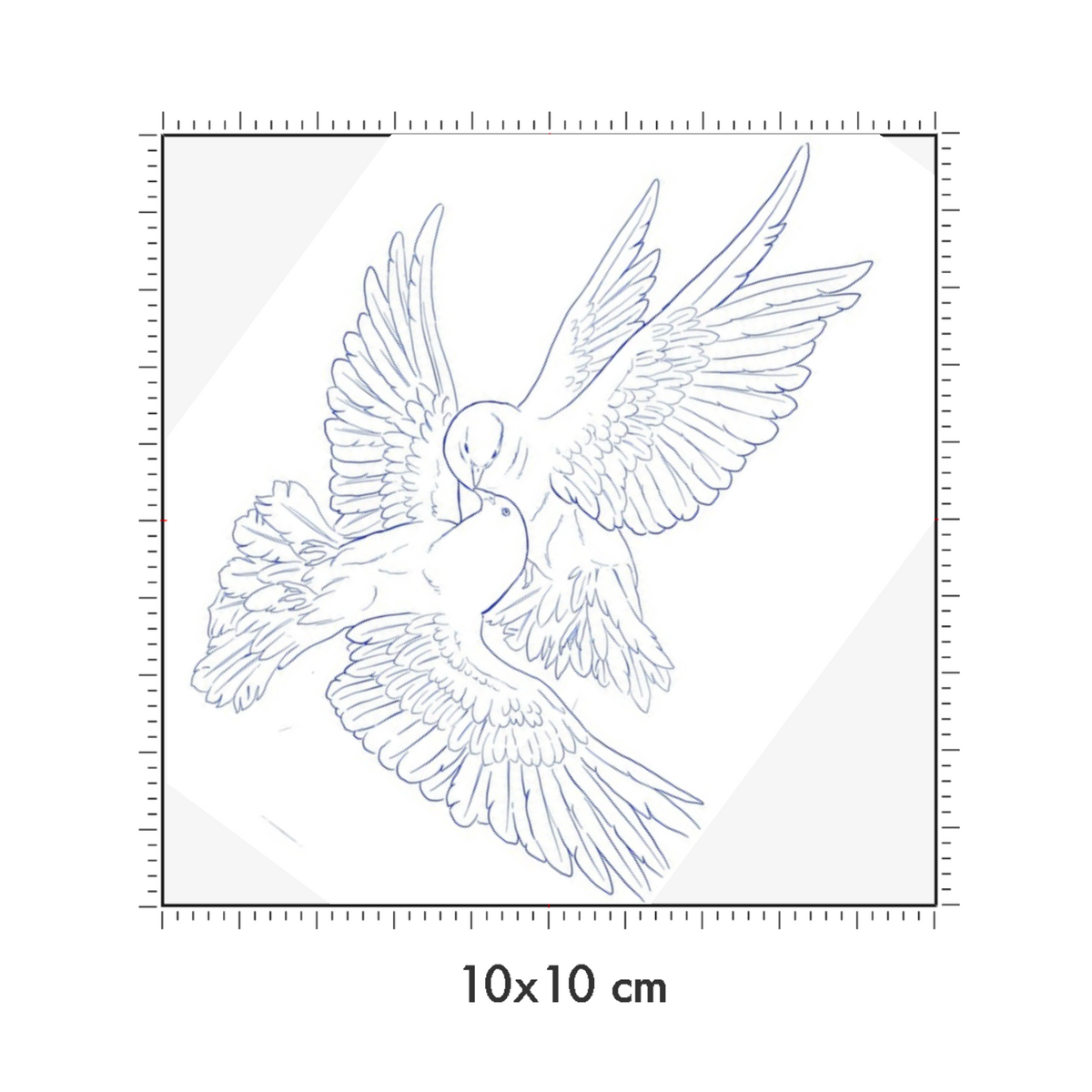 10 x 10 cm