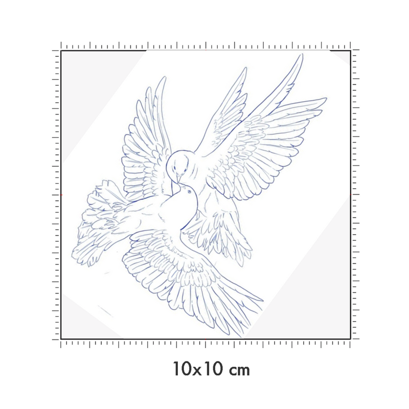 10 x 10 cm
