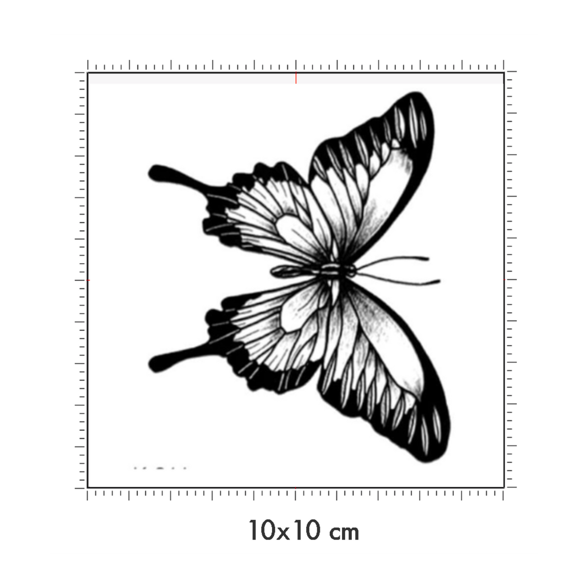 10 x 10 cm