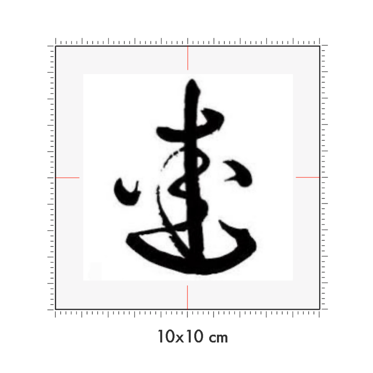 10 x 10 cm