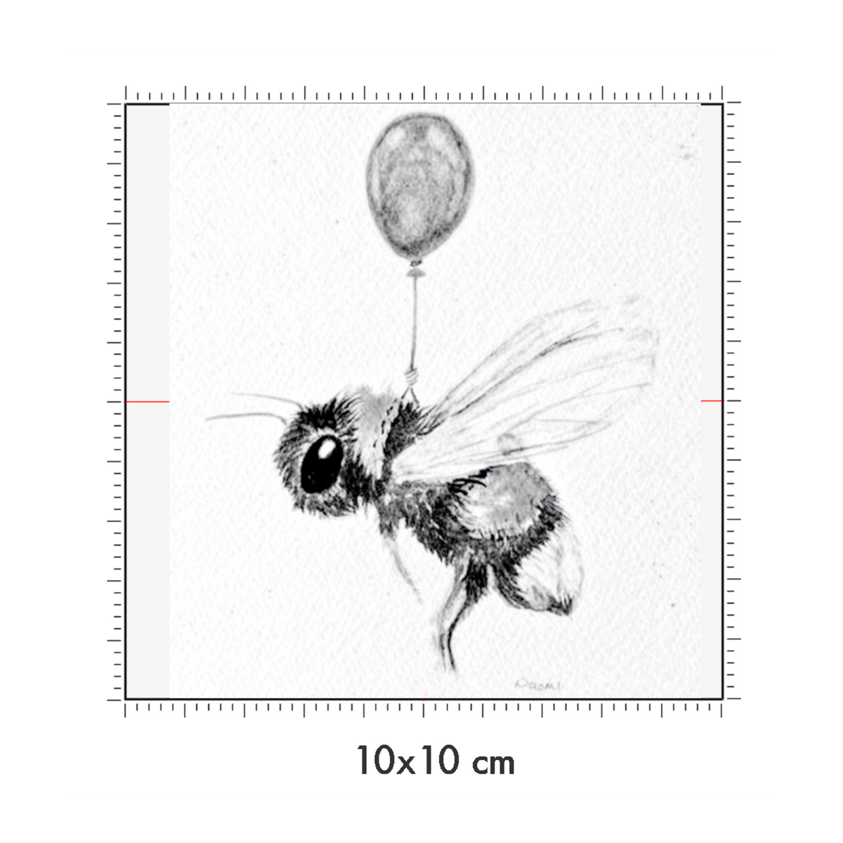 10 x 10 cm