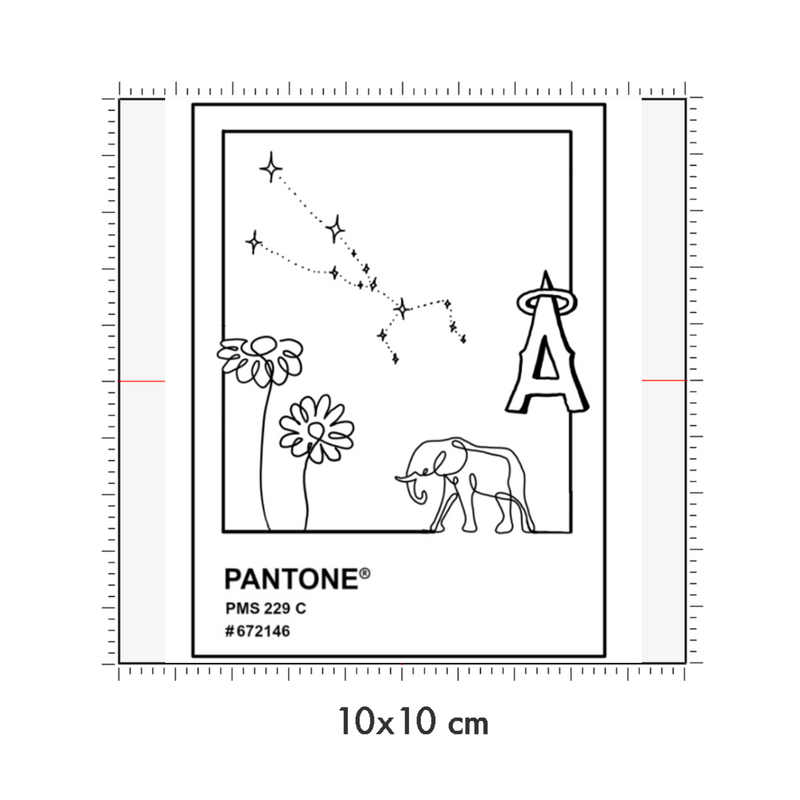 10 x 10 cm