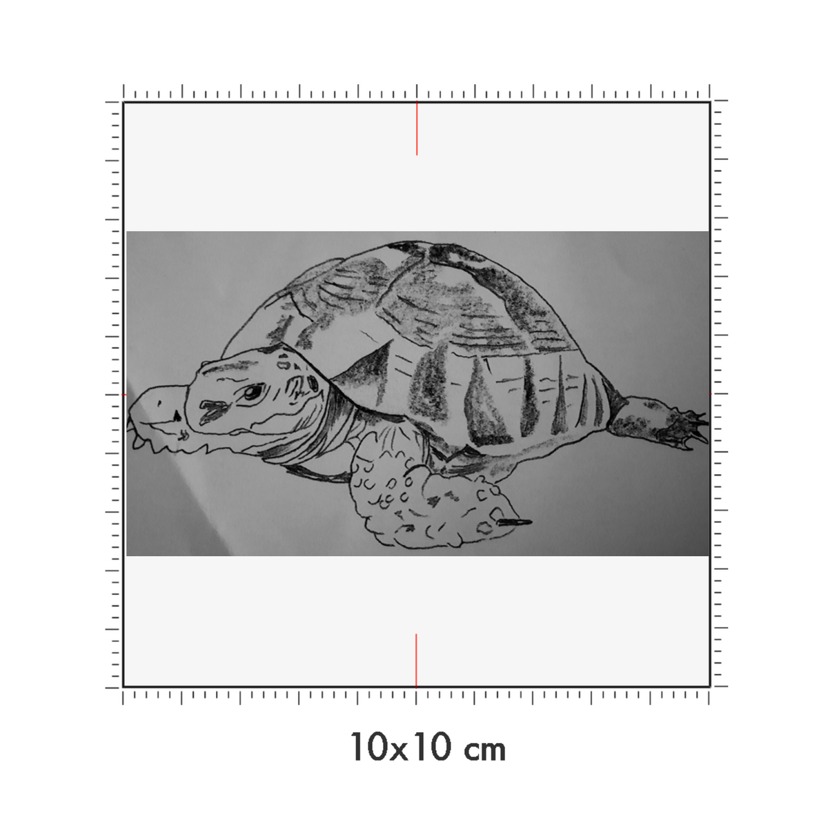 10 x 10 cm