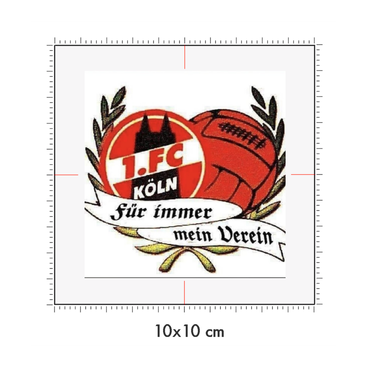 10 x 10 cm