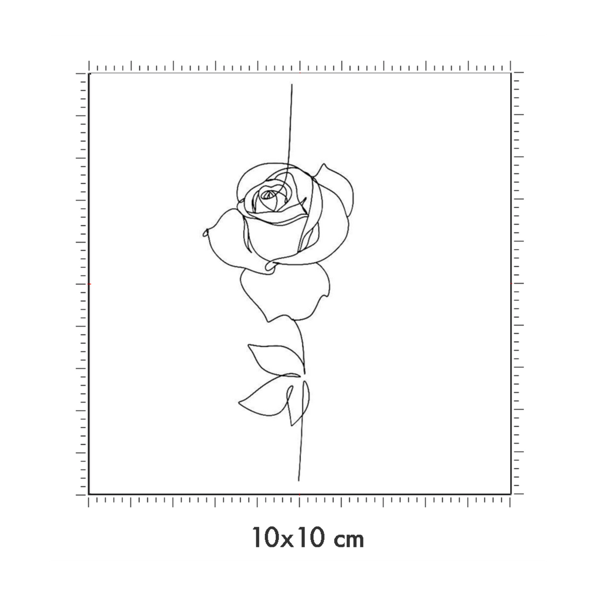 10 x 10 cm