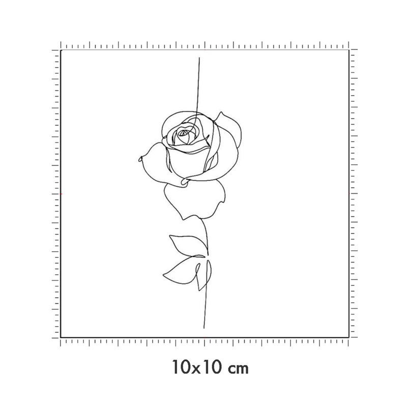 10 x 10 cm