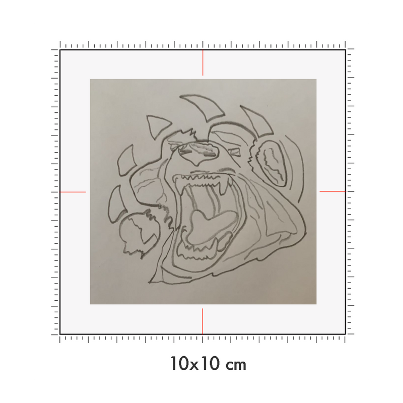 10 x 10 cm