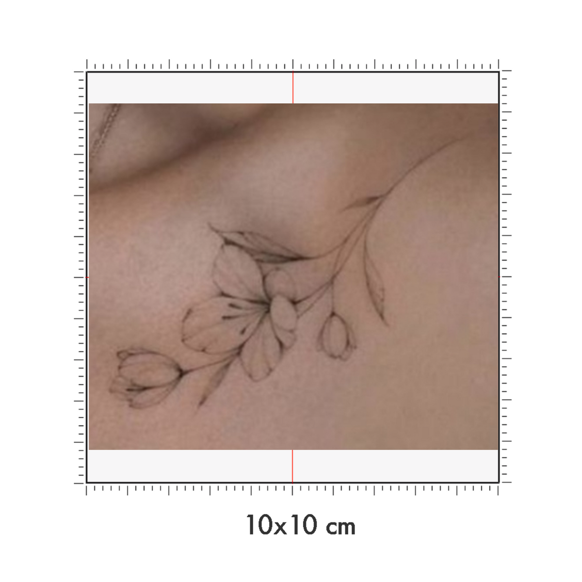 10 x 10 cm